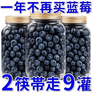 藍莓干無糖無添加兒童孕婦代餐食品東北野生新鮮藍梅干潤喉糖批發