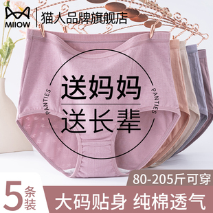頭 200斤全棉襠褲 貓人媽媽內褲 女士純棉透氣中老年長輩加肥加大碼