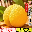 新鮮水果黃油桃當(dāng)季 桃子現(xiàn)摘大果 整箱油桃蒙陰黃金油桃黃桃應(yīng)季