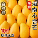 熱帶特產大果正宗小臺芒 包郵 海南小臺農芒果新鮮10斤水果當季 整箱