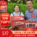 極臘廣味臘腸500g 香腸臘味烤腸香腸整箱批發甜酒風廣東特產 5廣式