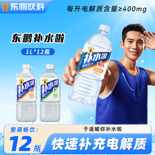 12瓶電解質(zhì)飲料多口味補水運動飲料 東鵬補水啦1L 于適同款