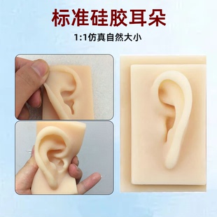 硅膠耳朵模型仿真耳微整形耳洞穿刺縫合針灸注射練習模塊演示教具