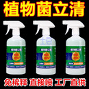 植物菌立清殺菌劑通用型家庭園藝營養液微生物菌劑養花肥料白粉病