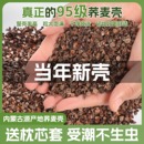 精選蕎麥皮蕎麥殼散裝 免洗成人甜蕎麥皮做枕頭枕芯保健枕填充頸椎
