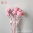 干花包 花瓣 干樹枝白色10支大號(hào) 黃金球干花 永生花
