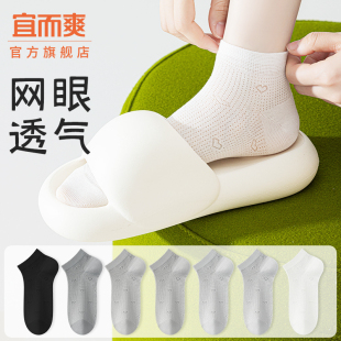 爆款 純棉無骨2025新款 網眼透氣淺口不掉跟船襪 薄款 襪子女短襪夏季
