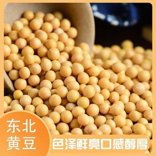 東北黃豆新貨大豆可發(fā)芽大豆子打豆?jié){原料營(yíng)養(yǎng)早餐農(nóng)家自種新鮮優(yōu)