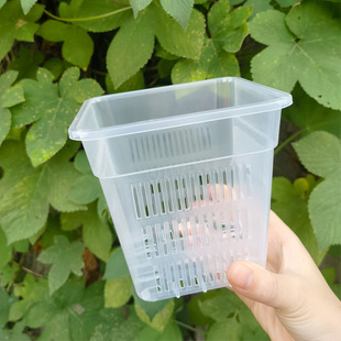 蘭花盆栽方盆加厚透氣塑料花盆控根盆蝴蝶蘭定植籃洋蘭綠蘿水培籃