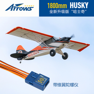 藍箭1.8m哈士奇終極版 像真入門遙控模型固定翼電動飛機 大尺寸拼裝