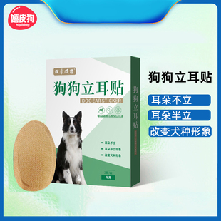 西高地專用立耳貼立耳神器狗狗輔助耳朵固定器膠帶豎耳貼寵物用品