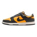 Dunk HF5441 Low 輕便百搭低幫休閑運動板鞋 700 黑黃 Nike耐克男鞋