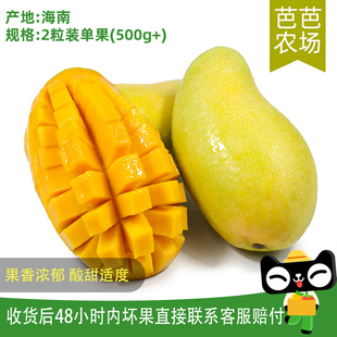 【芭芭農場】金煌芒2粒單果500g+